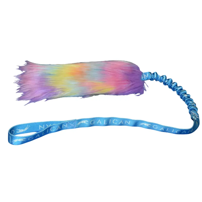 Jouet de Tir Puppy Galican